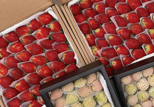 Mút xốp PE Foam bọc hàng là gì? Ứng dụng trong việc bọc hàng ra sao?