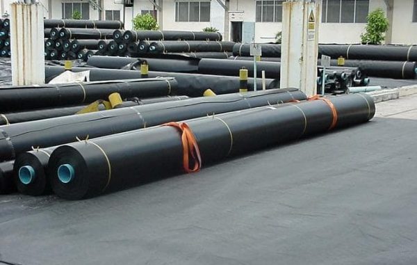 ni-lon3-600x381