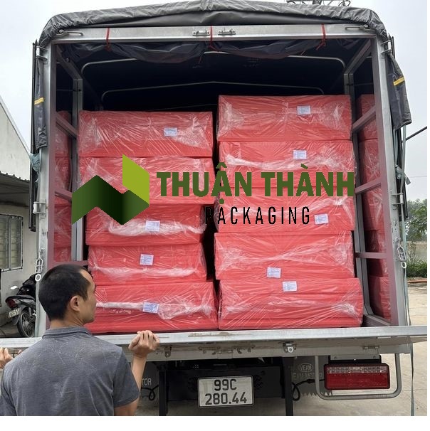 xop EPE foam chong tinh dien 7